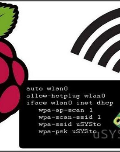 Применяем SSH на миникомпьютере Raspberry Pi