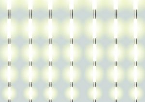 lights